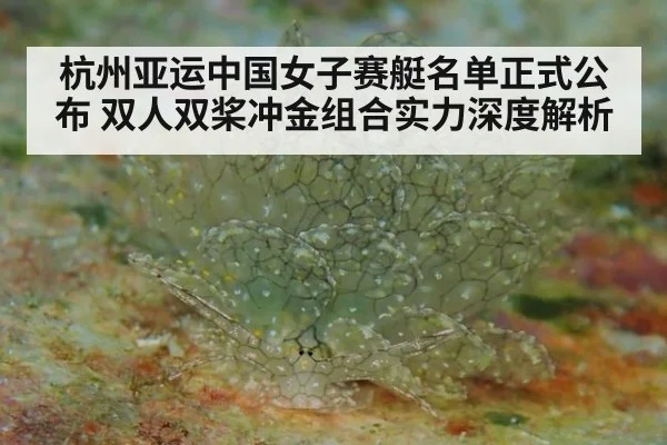 杭州亚运中国女子赛艇名单正式公布 双人双桨冲金组合实力深度解析