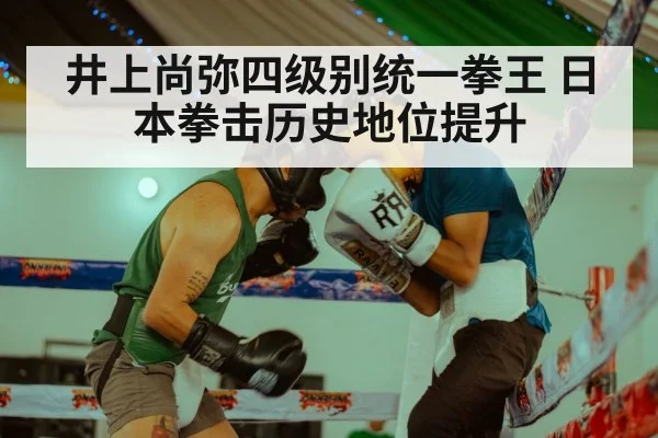 井上尚弥四级别统一拳王 日本拳击历史地位提升